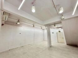 Hougang Avenue 1 (D19), Shop House #633726451